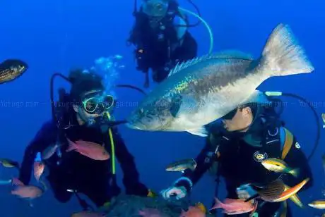 Photo de Diving La Herradura