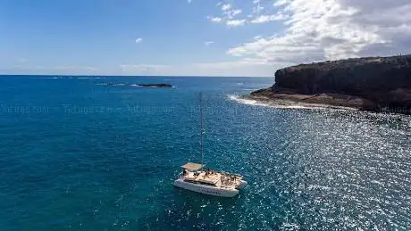 Photo de Kalima Kat Catamaran charter y excursiones en barco Tenerife