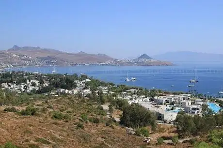 Photo de View in Beach