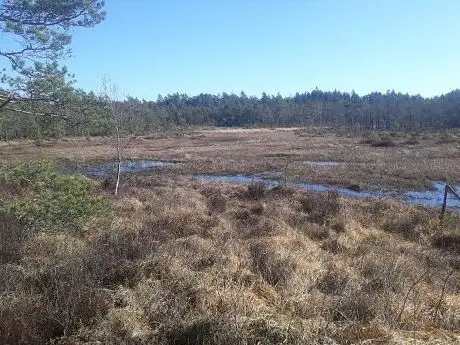 Photo de Orrkojgölarnas domänreservat