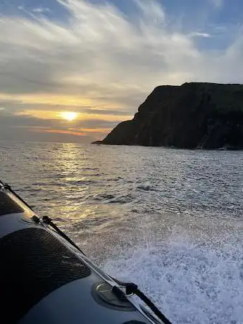 Photo de Fenit Sea Safari