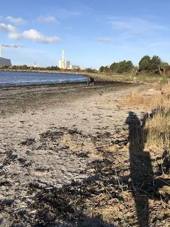 Photo de Sandymount Beach