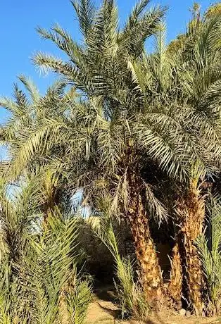 Photo de منتزه ايسون