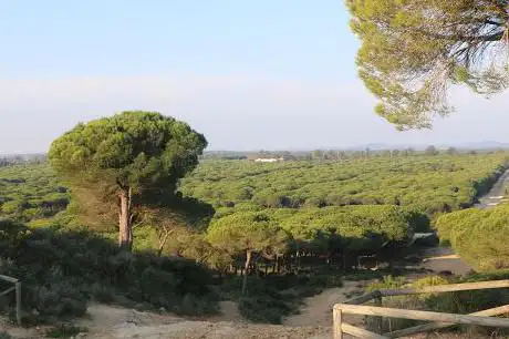 Photo de Pinar de hierro