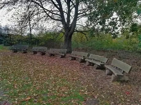 Photo de Streuobstwiese