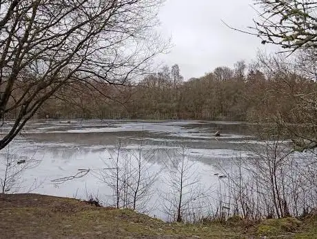 Photo de Doune Ponds