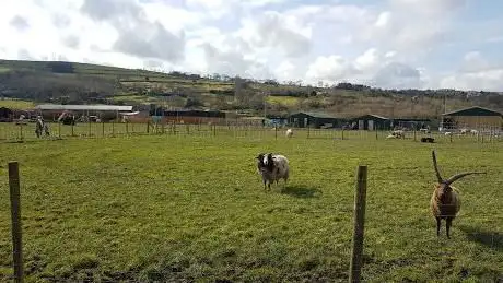 Photo de Mrs Dowsons Farm Park