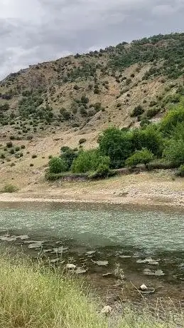 Photo de Alıçlı Mesire Alanı