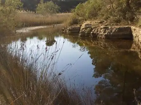 Photo de Estany Interior Santes Creus - espai protegit
