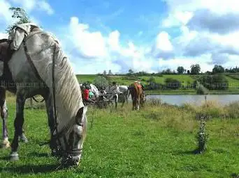 Photo de Les Ecuries de l'Aventure, ferme équestre.