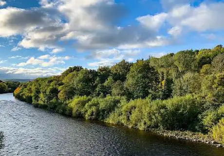 Photo de Mauldsheugh Wood Community Wildlife Project