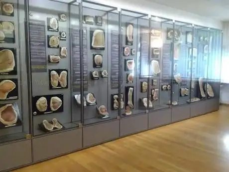 Photo de Moulagenmuseum