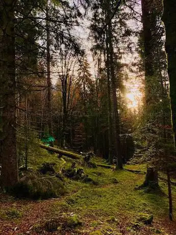 Photo de Foresta del Cansiglio