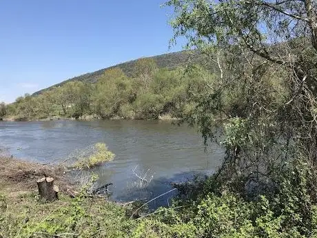 Photo de Çapraz Stream