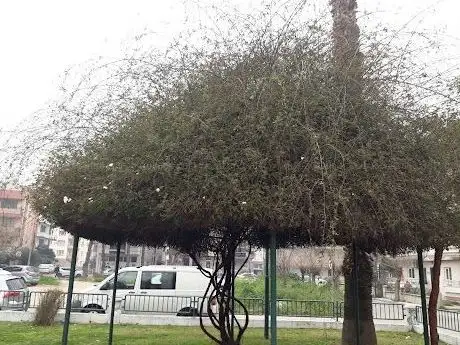 Photo de Çocuk Bahçesi