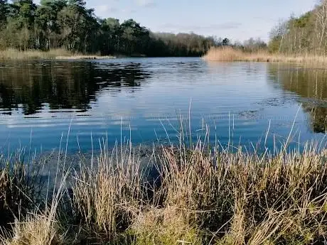 Photo de Bird hide Bornsestraat