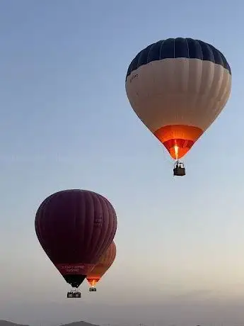 Photo de OASIS BALLOON