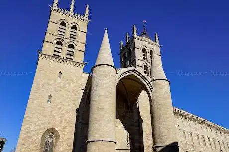 Photo de Montpellier Cathedral