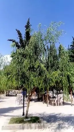 Photo de Korkuteli Belediyesi İsmail Küçükkaraca Parkı