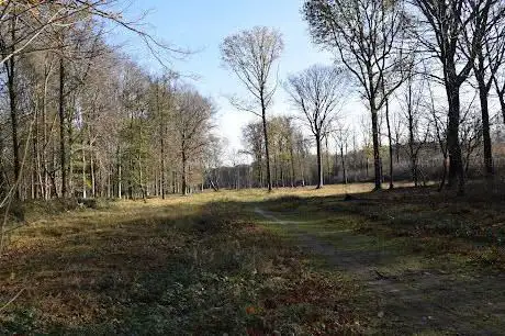Photo de Provinciedomein Bulskampveld