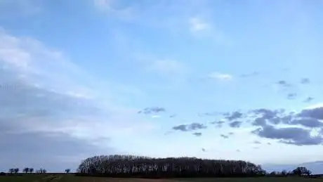 Photo de Burcote Wood