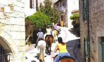 Photo de ECURIE DES COLLINES