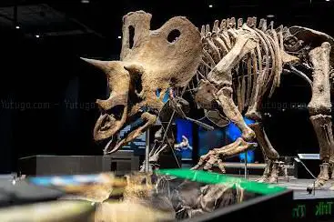 Photo de Dinosauria Museum Prague