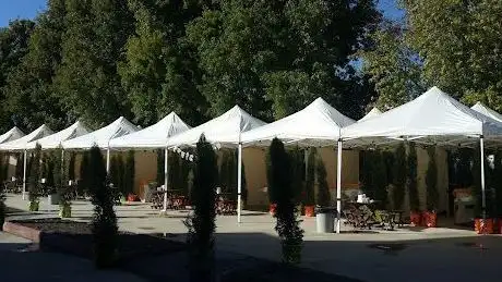 Photo de Child park