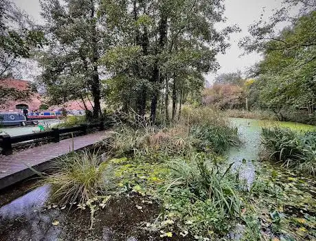 Photo of Camley Street Natural Park  London Wildlife Trust