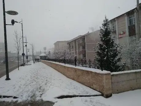 Photo de Green area