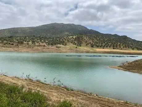 Photo de منتزه غابة جبل يفران بتاونات