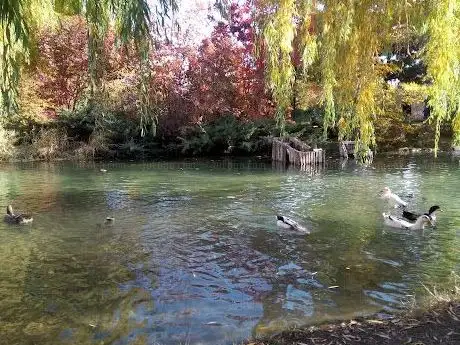 Photo of Ata Park Botanical Garden