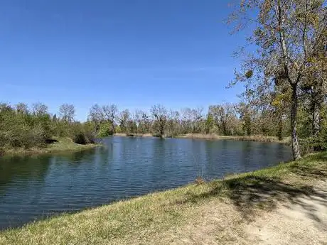 Photo de Etangs de la pêche