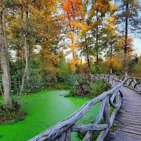 Photo de Pont du vieux Federbach
