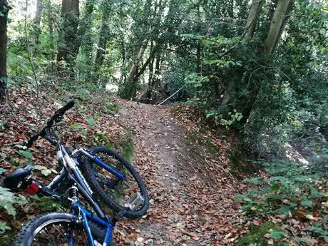 Photo de Mountain Bike Trails