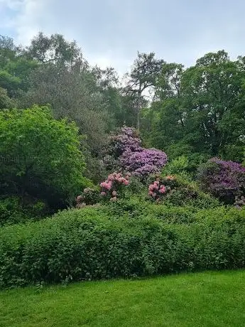 Howth Rhododendron Gardens