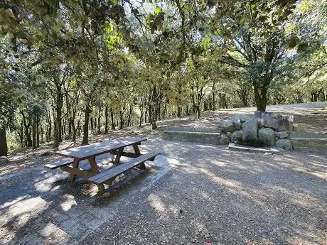 Photo de Plana del Coll Montseny