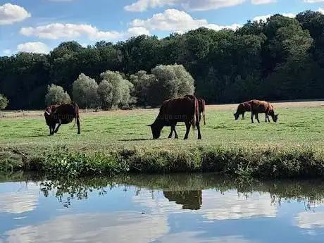 Photo de L'île au pré sur l'eau
