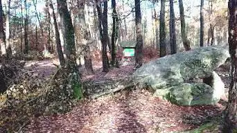 Photo de Dolmen de la Pierre Procureuse