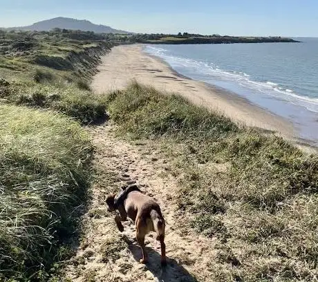 Kilpatrick Beach