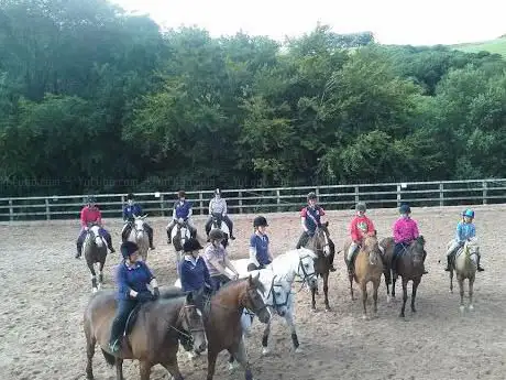 Photo de Thinking Horses