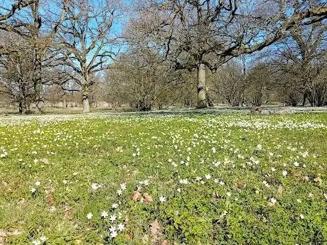 Photo de Levene Äng Naturreservat