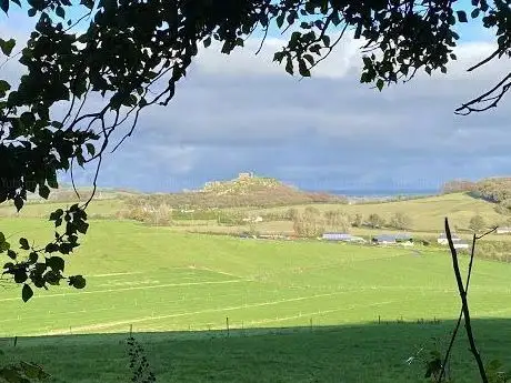 Photo de Dysart Woods