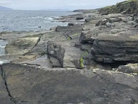 The Valentia Island Tetrapod Footprints