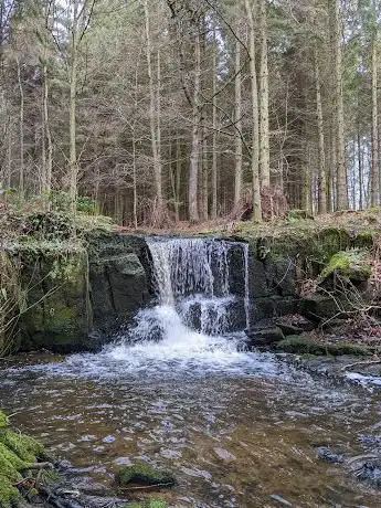 Photo de Birkey Burn Waterfall
