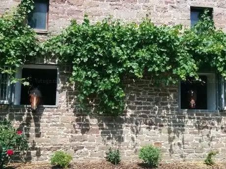 Photo de Reitanlage Schönemark  Marion de Baey