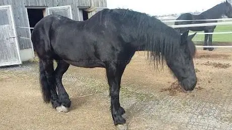 Photo of Fjord-Rösslihof