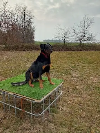 Photo de L'étang Détente