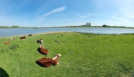 Photo de Vogelkijkhut Vreugderijkerwaard