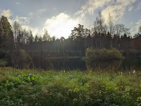 Photo de Mulleskogen